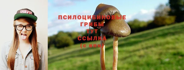синтетический гашиш Михайлов
