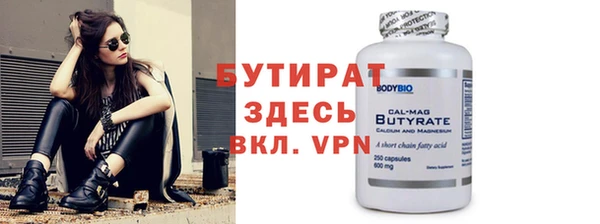 соль ск Ельня