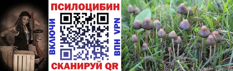 Галлюциногенные грибы MAGIC MUSHROOMS  Сельцо 